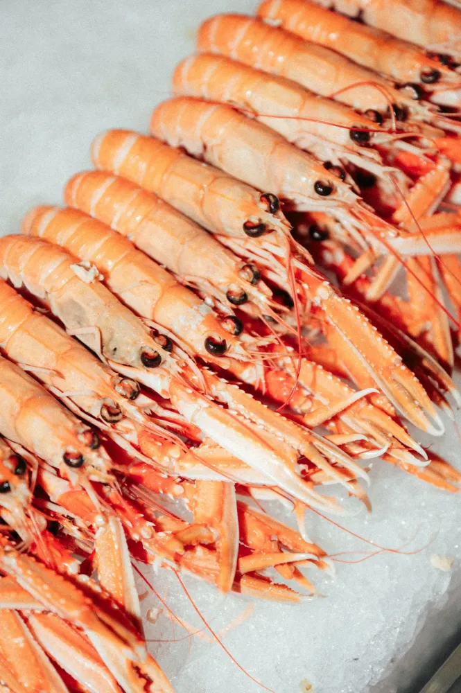 buffet-fruits-de-mer-volonte-restaurant-merci-begles